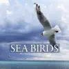 Sea Birds - Single album lyrics, reviews, download