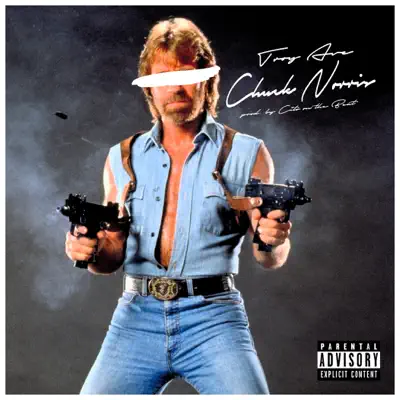 Chuck Norris (Hoes & Gangstas) - Single - Troy Ave