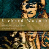 Wagner: Original Works & Adaptations for Chamber Orchestra artwork