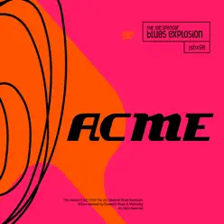 Acme - The Jon Spencer Blues Explosion