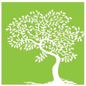 Holy Spirit Encounters (Week 3)