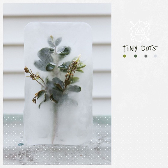 Cover artwork for C