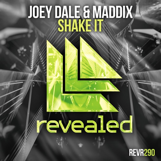 Cover artwork for Shake It