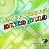 Złote Przeboje Disco Polo, Vol. 2 artwork