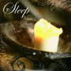 Sleep, Vol. 2, 2009