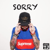 Sorry artwork