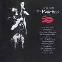 The Waterboys - The Whole of the Moon artwork