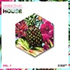 Selective: House, Vol. 7