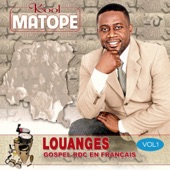 Louanges Gospel RDC En français artwork