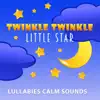 Twinkle Twinkle Little Star: Lullabies Calm Sounds for Babies, Nature Sounds, Bells, Deep Sleep All Night album lyrics, reviews, download