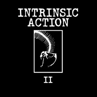 Album herunterladen Intrinsic Action - II