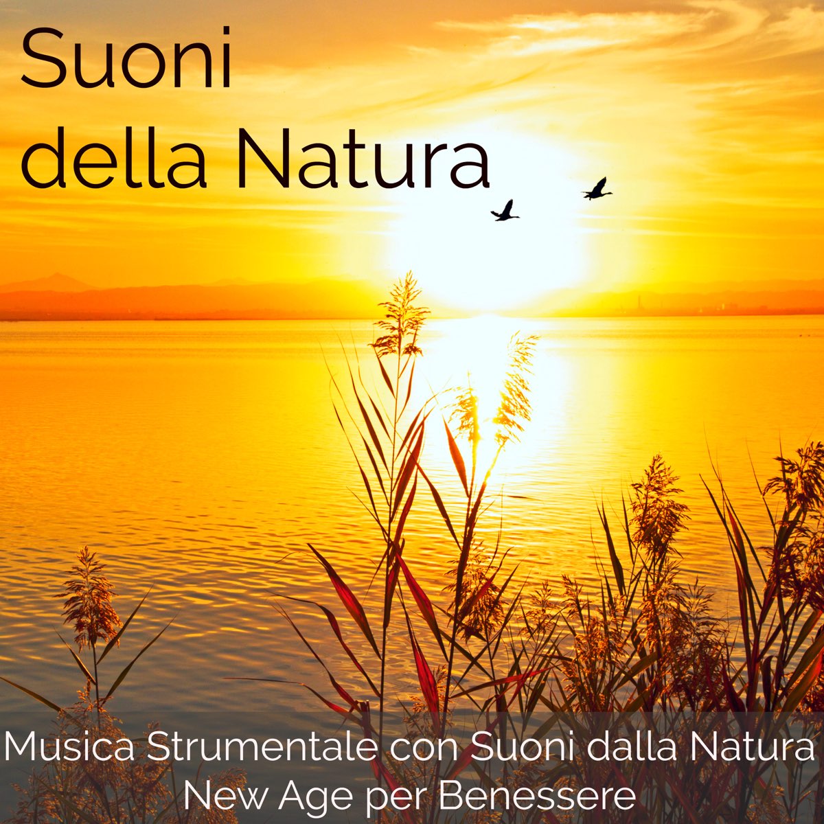 Suoni della Natura - Musica Strumentale con Suoni dalla Natura New Age per  Benessere di Madre Natura & Armonia su Apple Music