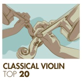 21 Hungarian Dances, WoO. 1: No. 5 in G Minor (Allegro) artwork