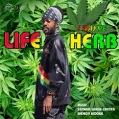 Life Herb (feat. Satnam Singh Chatha & Bhingy Riddim) artwork