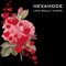 Love Really Hurts (Modekay Remix) - Hexamode lyrics