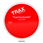 Larry Heard - Can You Feel It