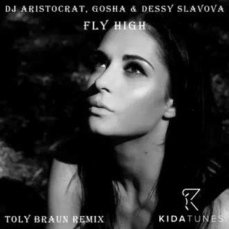 Fly High (Toly Braun Remix) by DJ Aristocrat, Gosha & Dessy Slavova song reviws