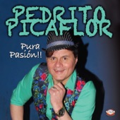 Pedrito Picaflor - Mi Viejo