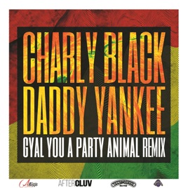 charly black gyal you a party animal