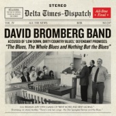 David Bromberg Band - Walkin' Blues