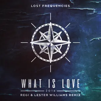 What Is Love 2016 (Regi & Lester Williams Remix) by Lost Frequencies song reviws