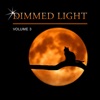 Dimmed Light, Vol. 3