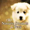 30 Nature Sounds for Pets: Peaceful Puppies & Calm Kittens, Relaxing Music Therapy to Calm Down Your Pet While You Are Out album lyrics, reviews, download
