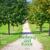 Birds Song and Forest, Vol.1 - EP, 2016