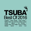 Tsuba Best of 2016