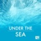 Almond Eyes - Seashore Waves lyrics