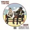 Swank Sinatra album lyrics, reviews, download