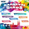 Karneval der Stars, Folge 46 - Verschiedene Interpreten