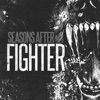 Fighter - Single