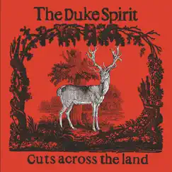 Cuts Across the Land by The Duke Spirit album reviews, ratings, credits