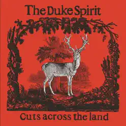 Cuts Across the Land - The Duke Spirit