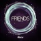 Friends - Steerner lyrics