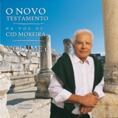 O Novo Testamento, Vol: 1 artwork