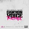 Cam'ron Voice (Remix) [feat. Cam'ron] song lyrics
