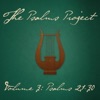 Vol. 3: Psalms 21-30