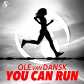 You Can Run (Pulsedriver Remix) artwork