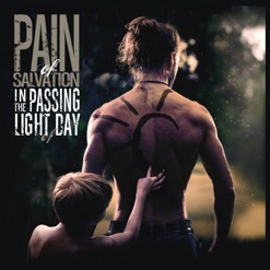 IN THE PASSING LIGHT OF DAY cover art