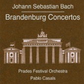 Brandenburg Concerto No. 1 in F Major, BWV 1046: II. Adagio artwork