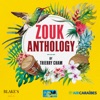 Zouk-la Sé Sel Médikaman Nou Ni by Kassav' iTunes Track 11
