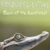 Alex Khaskin - Rainforest