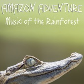 Through the Amazon artwork