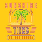 Sunshine (feat. Dan Harkna) [Extended Mix] artwork