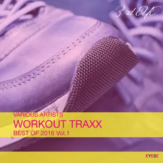 Workout Traxx: Best of 2016, Vol. 1 by Various Artists album reviews, ratings, credits