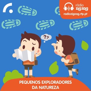 Seixos Voadores