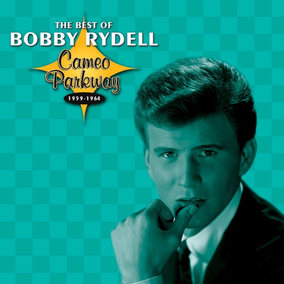 Cover artwork for Wild One