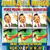 Joyas de la Música: 30 Éxitos Oro Puro album lyrics, reviews, download